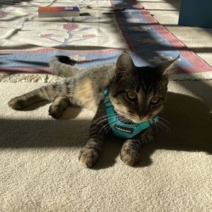 Meet your Posher, Winona